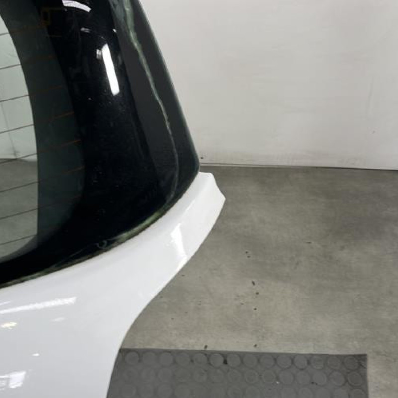 Malle/Hayon arriere RENAULT CLIO 3 Photo n°4