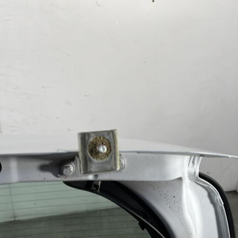 Malle/Hayon arriere RENAULT CLIO 3 Photo n°10