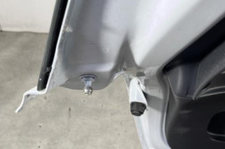 Malle/Hayon arriere RENAULT CLIO 3