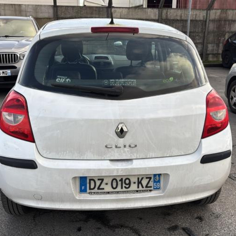 Malle/Hayon arriere RENAULT CLIO 3 Photo n°19