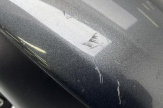 Retroviseur gauche CITROEN C4 PICASSO 1
