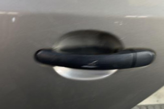 Porte arriere gauche SKODA FABIA 2