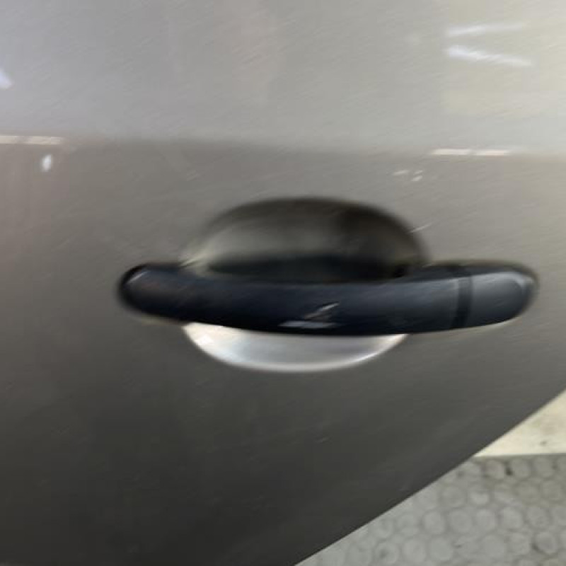 Porte arriere gauche SKODA FABIA 2 Photo n°2