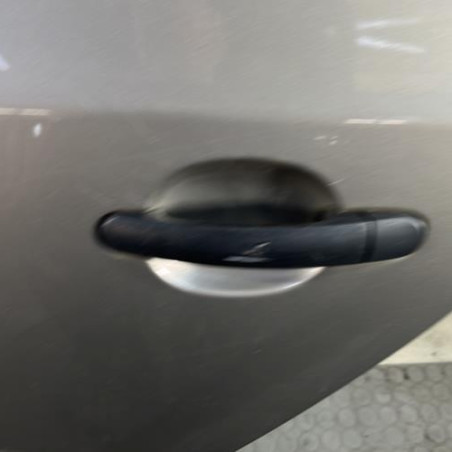 Porte arriere gauche SKODA FABIA 2