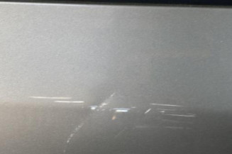 Porte arriere gauche SKODA FABIA 2