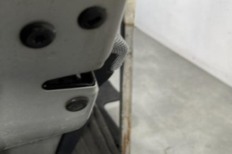 Porte arriere gauche SKODA FABIA 2