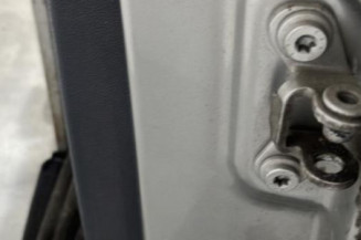 Porte arriere gauche SKODA FABIA 2
