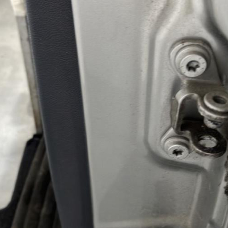 Porte arriere gauche SKODA FABIA 2 Photo n°5