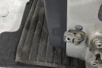 Porte arriere gauche SKODA FABIA 2