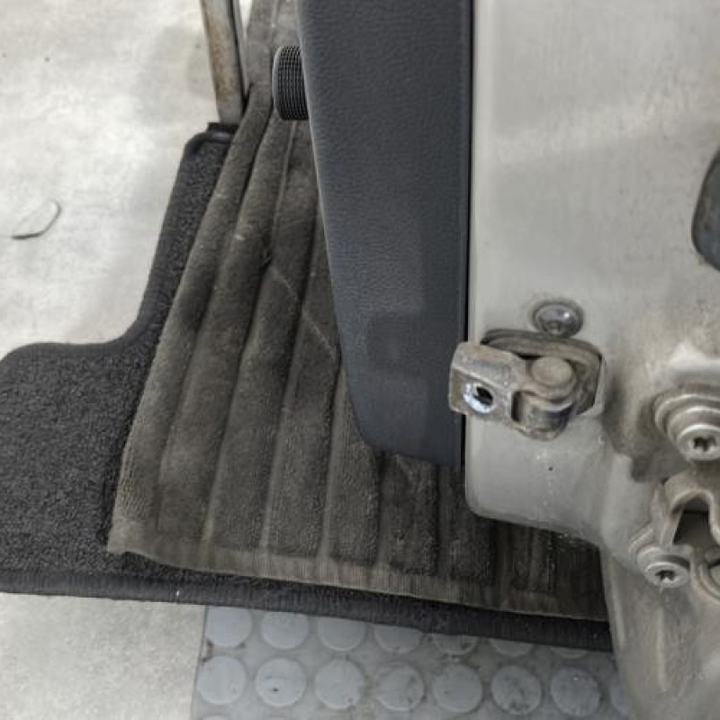 Porte arriere gauche SKODA FABIA 2 Photo n°6
