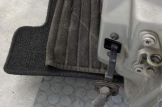 Porte avant gauche SKODA FABIA 2