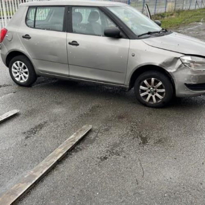 Porte avant gauche SKODA FABIA 2 Photo n°15
