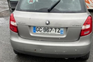 Porte avant gauche SKODA FABIA 2