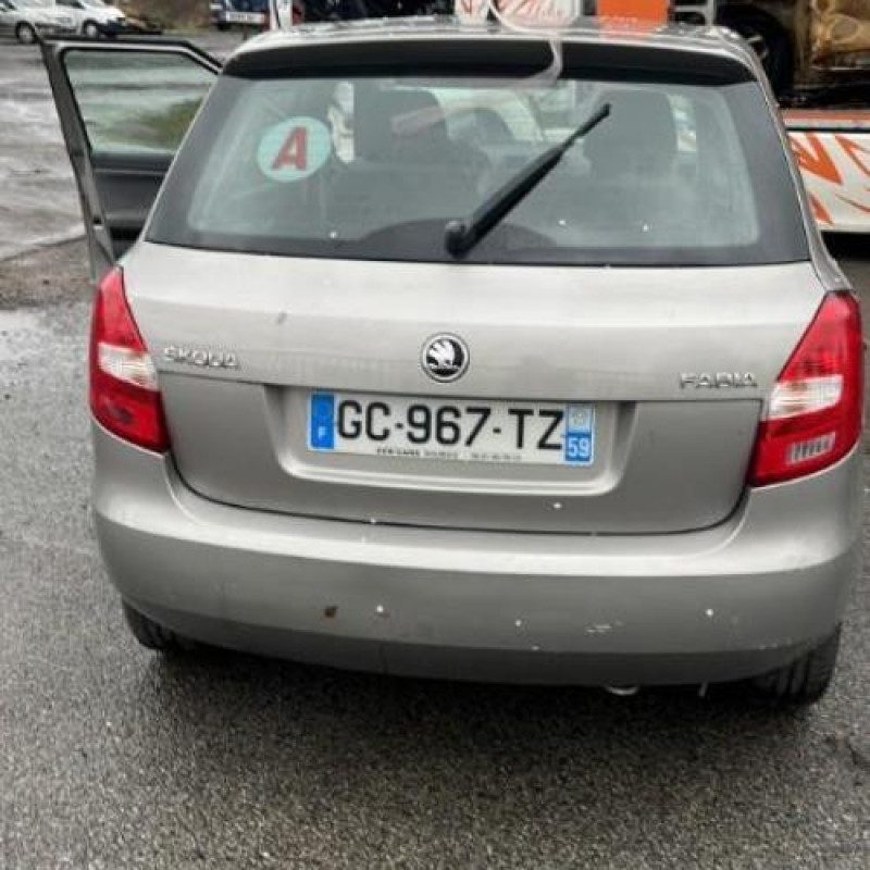 Porte avant gauche SKODA FABIA 2 Photo n°18