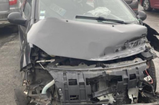 Porte avant gauche RENAULT TWINGO 2