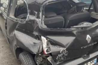 Porte avant gauche RENAULT TWINGO 2