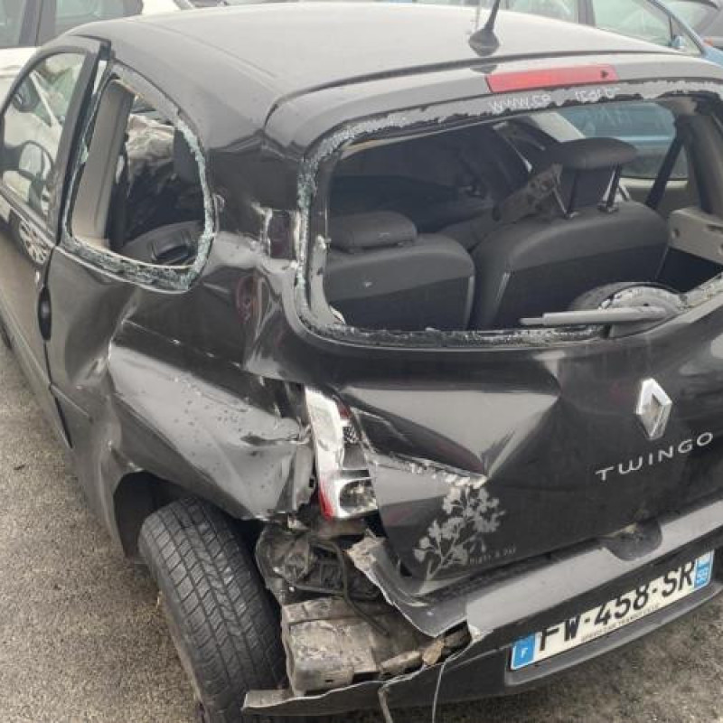 Porte avant gauche RENAULT TWINGO 2 Photo n°9