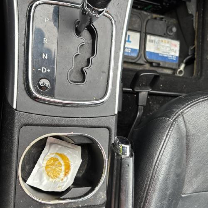 Porte avant gauche MERCEDES CLASSE B 245 Photo n°19