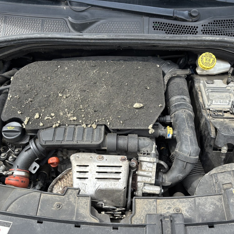 CITROEN C4 CACTUS 1.2 PURETECH - 12V TURBO Photo n°31