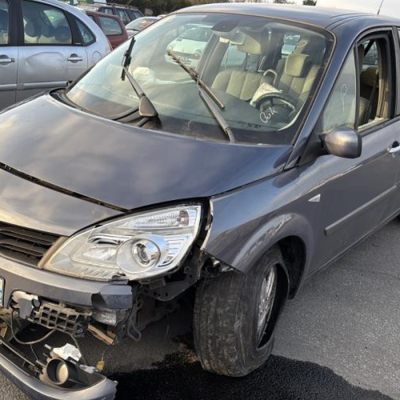 Porte arriere droit RENAULT GRAND SCENIC 2 Photo n°7
