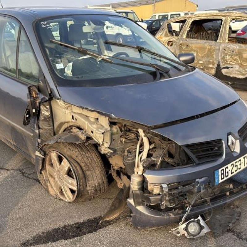 Porte arriere droit RENAULT GRAND SCENIC 2 Photo n°8