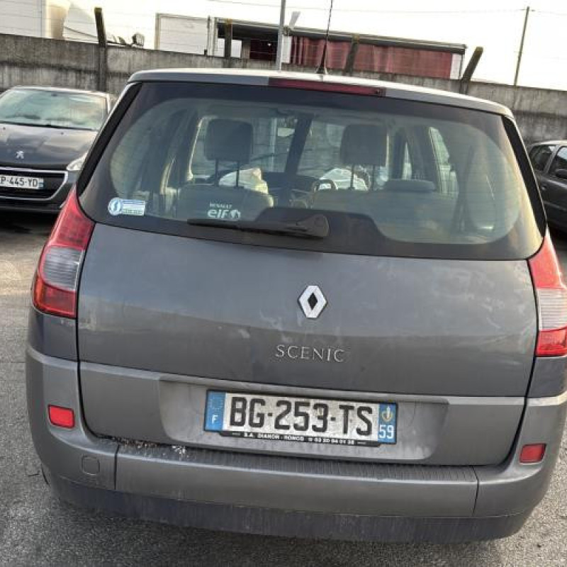 Porte arriere droit RENAULT GRAND SCENIC 2 Photo n°11