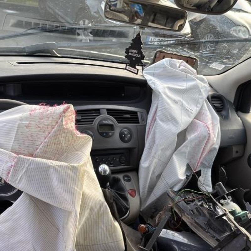 Porte arriere droit RENAULT GRAND SCENIC 2 Photo n°19