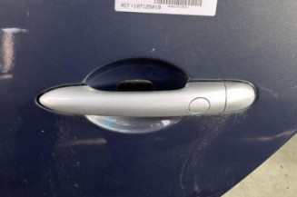 Porte arriere gauche RENAULT GRAND SCENIC 2