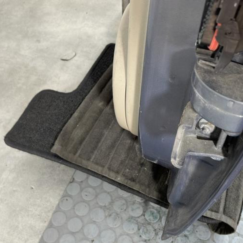 Porte arriere gauche RENAULT GRAND SCENIC 2 Photo n°4