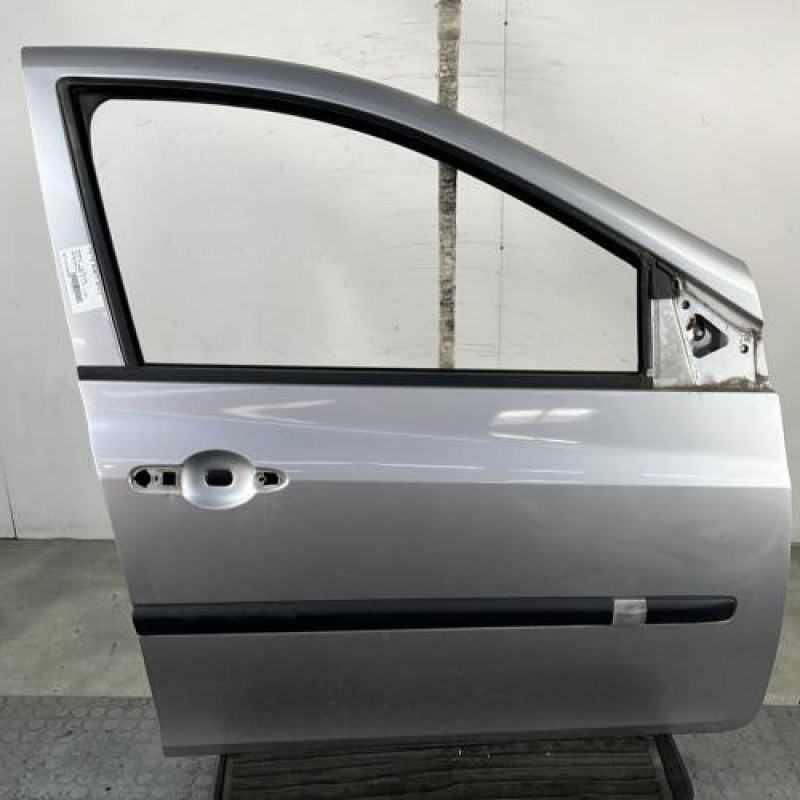 Porte avant droit RENAULT CLIO 3 Photo n°1