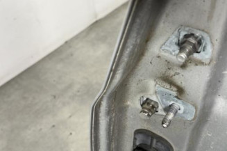 Porte avant droit RENAULT CLIO 3