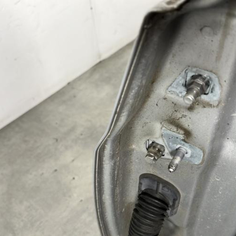 Porte avant droit RENAULT CLIO 3 Photo n°3