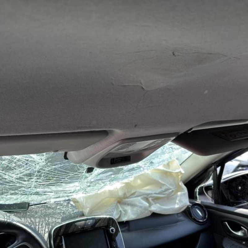Baguette de porte arriere droite RENAULT CLIO 4 Photo n°20