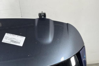 Malle/Hayon arriere RENAULT CLIO 4