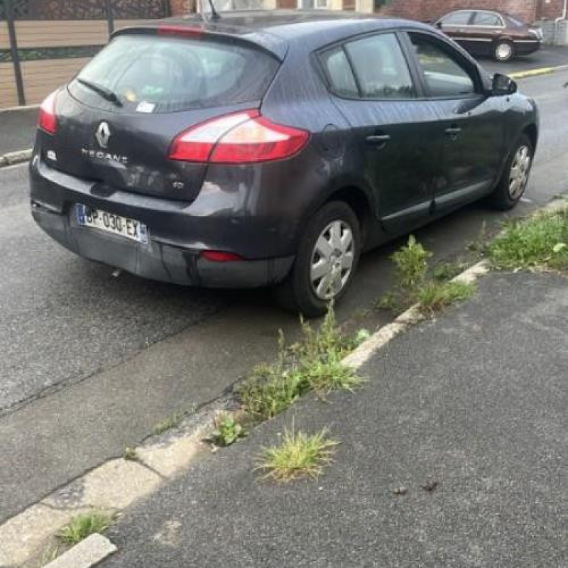 Baguette de porte avant droite RENAULT MEGANE 3 Photo n°5