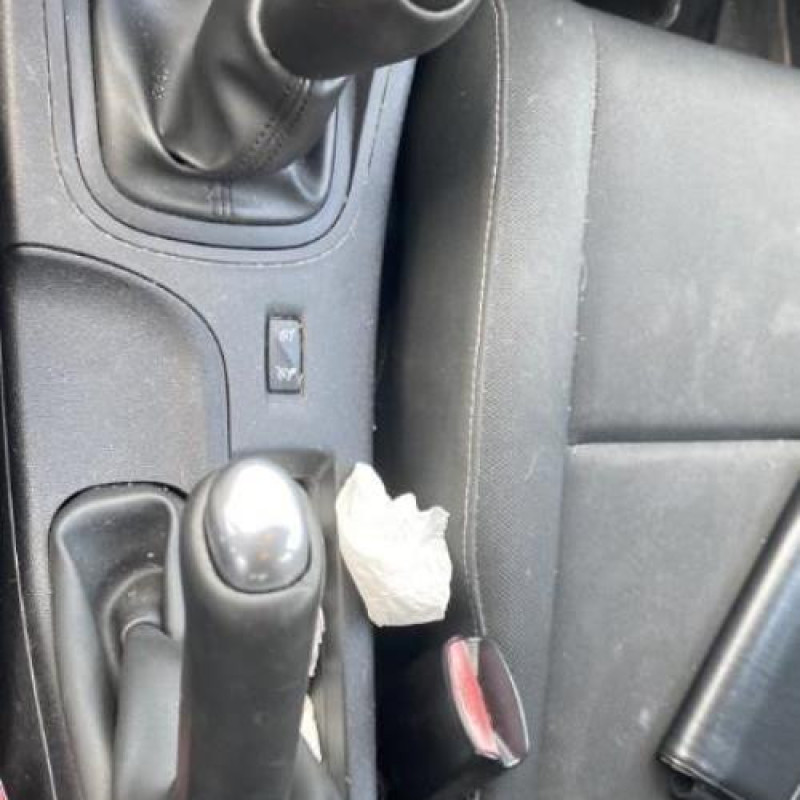 Baguette de porte avant droite RENAULT MEGANE 3 Photo n°13