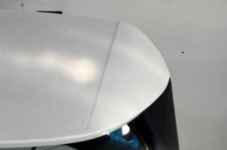 Malle/Hayon arriere CITROEN C4 PICASSO 2