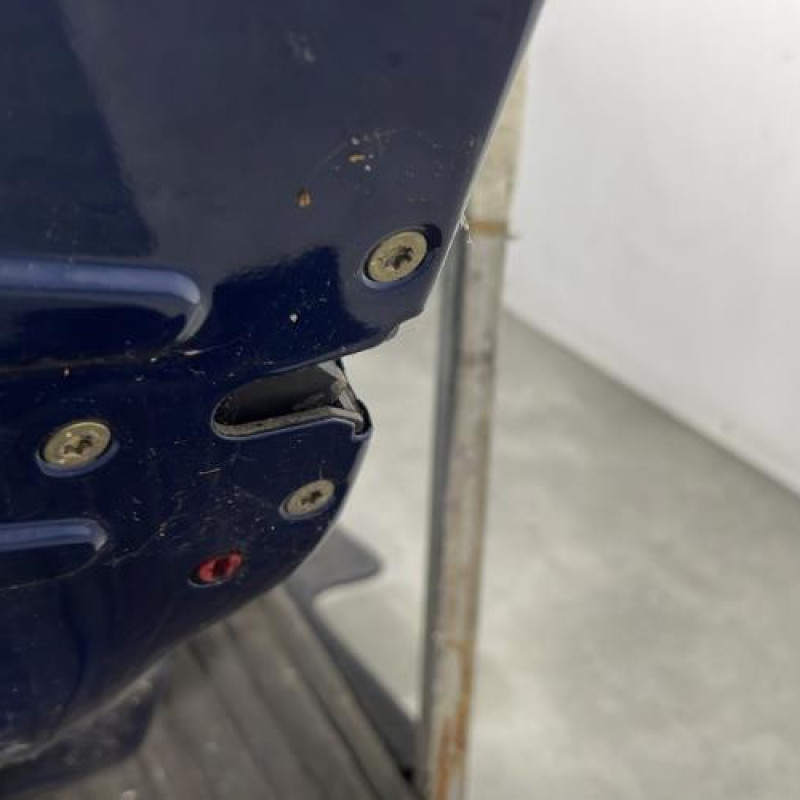 Porte arriere gauche PEUGEOT 206 Photo n°3