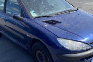 Porte avant gauche PEUGEOT 206
