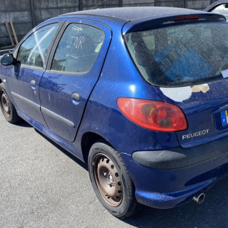 Porte avant gauche PEUGEOT 206 Photo n°10