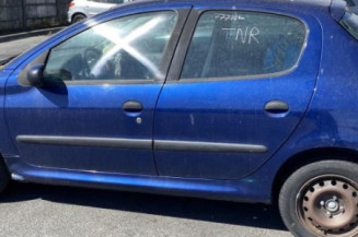Porte avant gauche PEUGEOT 206