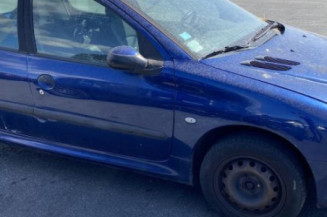 Porte avant gauche PEUGEOT 206