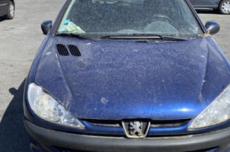 Porte avant gauche PEUGEOT 206