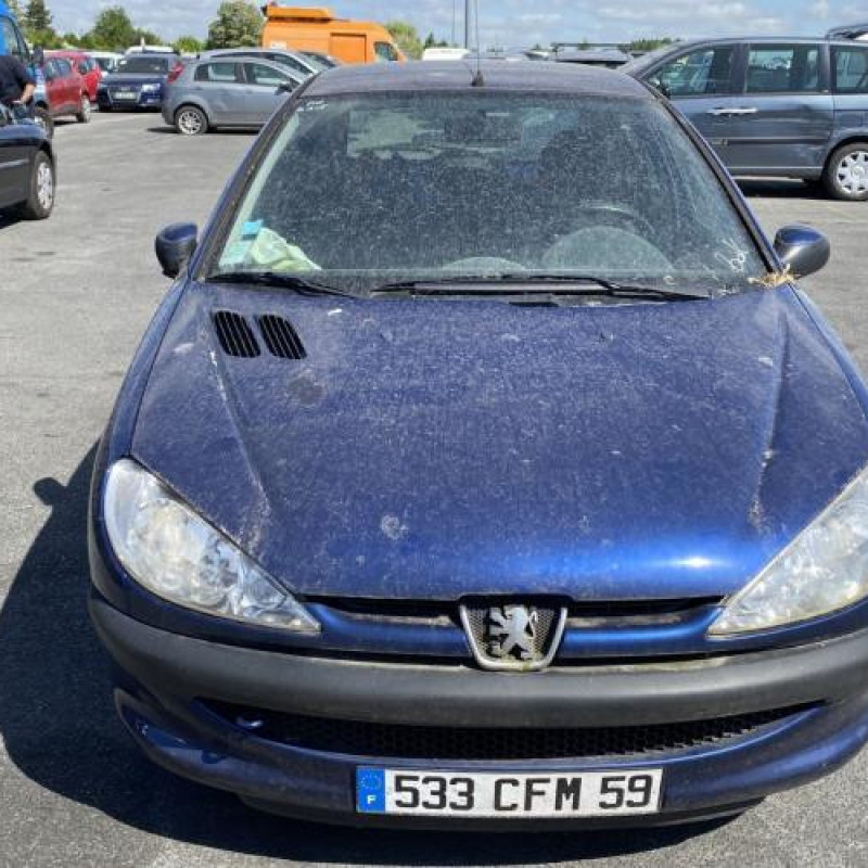 Porte avant gauche PEUGEOT 206 Photo n°14
