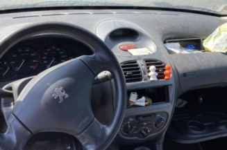 Porte avant gauche PEUGEOT 206
