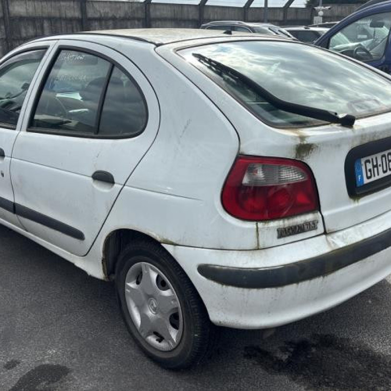 Feu arriere principal gauche (feux) RENAULT MEGANE 1 Photo n°17
