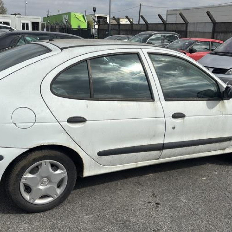 Feu arriere principal gauche (feux) RENAULT MEGANE 1 Photo n°19