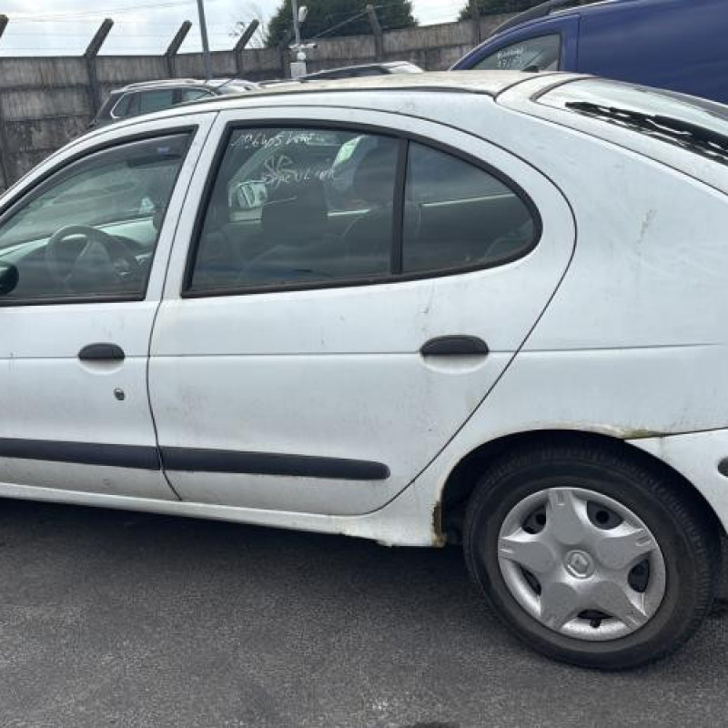 Feu arriere principal gauche (feux) RENAULT MEGANE 1 Photo n°20