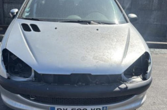 Boitier BSI PEUGEOT 206