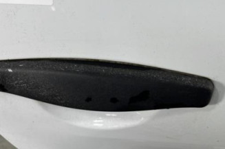 Porte arriere droit DACIA SANDERO 1